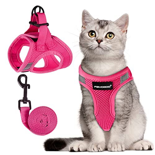 Katzengeschirr, Katzenleine und Geschirr-Set zum Spazierengehen, ausbruchsicher, Geschirr für kleine Katzen/kleine Hunde, Geschirr für Katzen S-XXL (Rosa, X-Large) von FAYOGOO