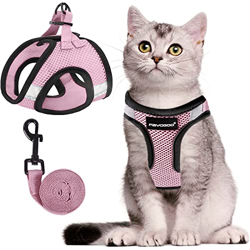 Katzengeschirr, Katzenleine und Geschirr-Set zum Spazierengehen, ausbruchsicher, Geschirr für kleine Katzen/kleine Hunde, Geschirr für Katzen S-XXL (Rose Pink, Größe S) von FAYOGOO