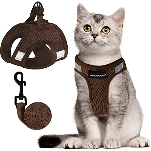 Katzengeschirr, Katzenleine und Geschirr-Set zum Spazierengehen, ausbruchsicher, Geschirr für kleine Katzen/kleine Hunde, Geschirr für Katzen S-XXL (Schokolade, klein) von FAYOGOO