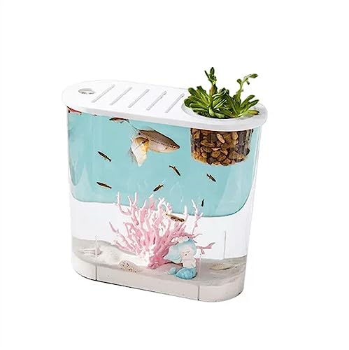 Aquarium, Fischtank, kleine Mikrolandschaft, transparentes Aquarium, großes ökolscape-Zuhause mit Deckel, ovaler Desktop, kann mit Wasserpflanzen für die Desktop-Anzeige bepflanzt Werden (L) von FBHappiness