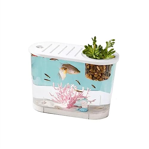 Aquarium, Fischtank, kleine Mikrolandschaft, transparentes Aquarium, großes ökolscape-Zuhause mit Deckel, ovaler Desktop, kann mit Wasserpflanzen für die Desktop-Anzeige bepflanzt Werden (S) von FBHappiness