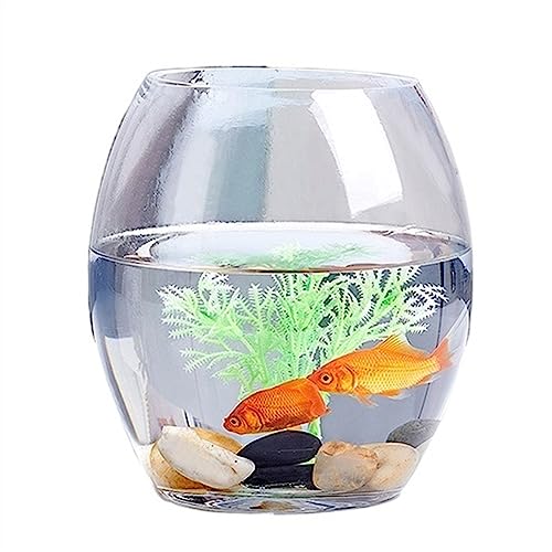 Aquarium, Fischtank, kleines, verdicktes, transparentes Aquarium, Schildkrötentachildkrötentank aus Glas, ovaler Tank, Home-Office-Desktop-Tank, Mehrzweck-Aquarium für die Desktop-Anzeige(S) von FBHappiness