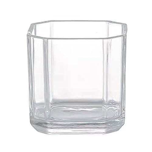 Aquarium, einfaches quadratisches Aquarium aus transparentem Glas, kleines Aquarr Zierfische, Schildkröten-Wasserpflanzenbecken, für Büro und Zuhause, zur Anzeige auf dem Schreibtisch (8 cm) von FBHappiness