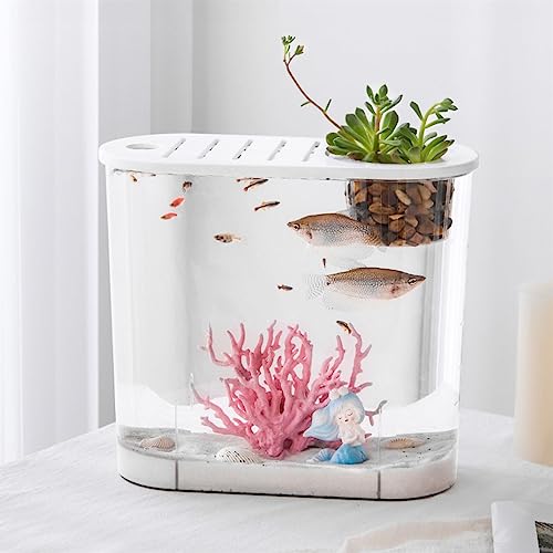 Aquarium, klein, Mikrolandschaft, transparent, großes ökologisches Aquascape-AquAquascape-Aquarium für Zuhause, mit Deckel, ovaler Schreibtisch, zum Einpflanzen von Wasserpflanzen (Größe: L) von FBHappiness