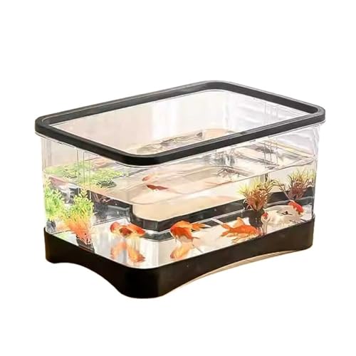 Aquarium, kleines Aquarium, für Wohnzimmer, Haushalt, Schreibtisch, Kleiner tranparenter Acryl-Schildkrötentank, Schildkrötenbox für Schreibtisch-Display (schwarz, 31,5 cm x 21 cm x 16,5 cm) von FBHappiness