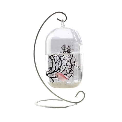 Aquarium, kleines Aquarium zum Aufhängen, schönes kleines Aquarium aus Glas, Metnes kleines Aquarium aus Glas, Metallrahmen, zum Aufhängen an der Arbeitsfläche, dekorative Aquarien (weiß, L) von FBHappiness