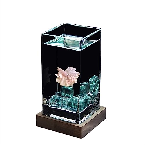 Aquarium, quadratisch, hoch durchscheinendes Kampffischbecken mit Holzsockel, trsches Aquarium, verdicktes Glas, kleines Aquarium für den Schreibtisch zur Anzeige auf dem Schreibtisch (blau) von FBHappiness