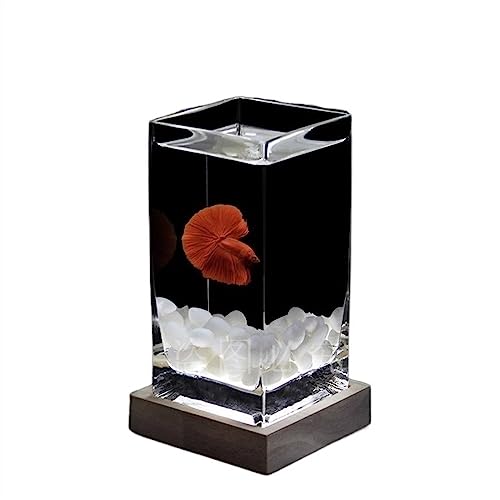 Aquarium, quadratisch, hoch durchscheinendes Kampffischbecken mit Holzsockel, trsches Aquarium, verdicktes Glas, kleines Aquarium für den Schreibtisch zur Anzeige auf dem Schreibtisch (weiß) von FBHappiness