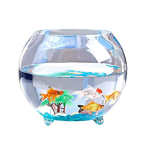 Aquarium aus Glas, rund, verdicktes Aquarium mit Füßen, für den Schreibtisch, klden Schreibtisch, Kleiner Goldfisch, Schildkrötentank, Kugel, Hydrokulturpflanze, Aquarium (Größe: 11,81 Zoll) von FBHappiness