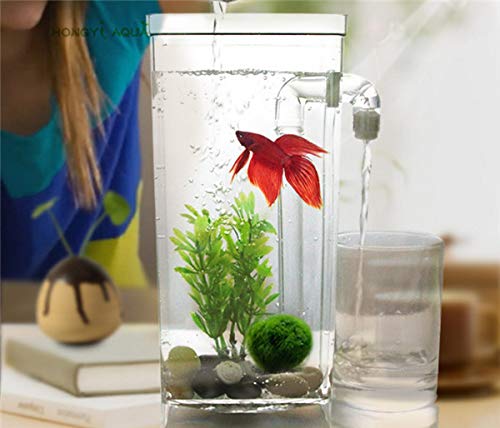 Aquarium aus Kunststoff, Lazy-Aquarium, kleines Aquarium, Mini-Goldfischglas, quAquarium, rundes Aquarium, ökologisches Fischglas, Rransparen für die Desktop-Anzeige (quadratisches Aquarium) von FBHappiness