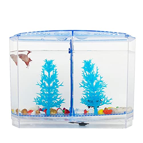 Aquarium für den Schreibtisch, transparenter Kunststoff, bilaterales Kampffischbffischbecken, kreativ, mit Abdeckung, Zierfischbecken, kleines Goldfischbecken, Aquarium für das Büro zu Hause von FBHappiness