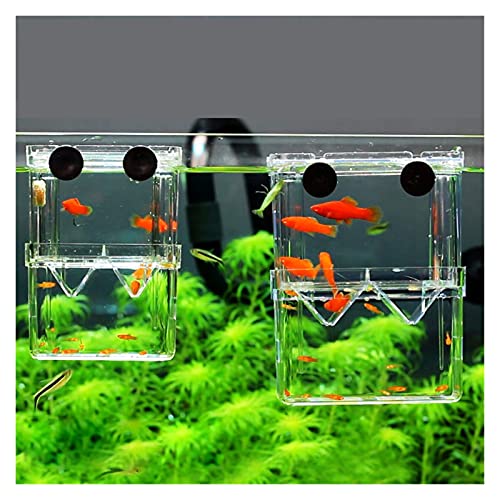 Doppelstöckiger Fischtank, transparente Fischzucht-Isolationsbox, Aquarium-Züchtnte Fischzucht-Isolationsbox, Aquarium-Züchter, Fischtank, Brut-Inkubator, Fischhaus, Heim für Desktop-Display von FBHappiness