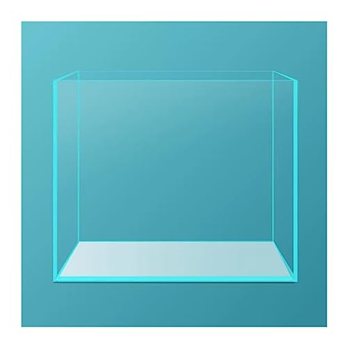 Fischtank, Fischtank, transparentes Glas, ökologisches Aquarium, Fischaquarium, hes Aquarium, Fischaquarium, Fischtank, quadratischer Tischtank, mittelgroßes Aquarium für die Tischanzeige(A) von FBHappiness