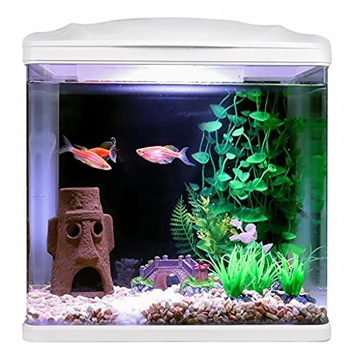 Fischtank, kreatives Fischtank für den Schreibtisch, kleines Fischtank, Tischaquschaquarium, Goldfisch-Dekoration, Fischtank aus Glas, kostenloser Wasserwechsel, Heimdekoration, Aquariumtank von FBHappiness