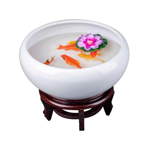 Fish Tabk Reinweißes Keramik-Aquarium, Wohnzimmer-Tisch-Aquarium, Seerosen-Aquareerosen-Aquarium, Lotus-Becken, Schildkröten-Aquarium, Narzissen-Porzellan-Becken, Cooles Aquarium (Größe: XL) von FBHappiness