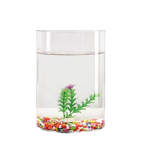 Goldfischbehälter, transparentes Glas, Aquarium, kleine ökologische Box, zylindrAquarium, kleine ökologische Box, zylindrisch, großes Schildkrötenbecken, Aquascape-Zubehörbecken (Größe: 002) von FBHappiness