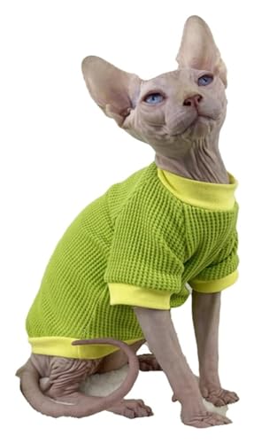 Katzenkleidung, Kleidung für haarlose Katzen, mit dickem Katzenstrickpullover autzen, mit dickem Katzenstrickpullover aus Samt und anderer unsichtbarer Katzenkleidung (Farbe: Rosa, Größe: L) von FBHappiness