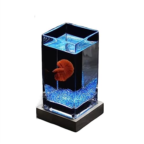 Quadratisches, hochtransparentes Kampffischbecken mit Holzsockel, tropisches Fis Holzsockel, tropisches Fischbecken, verdicktes Glas, kleines Fischbecken für den Schreibtisch (Farbe: Blue02) von FBHappiness