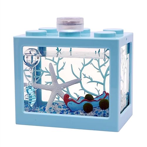 Tank für Aquarien mit Algenball Mikro-Landschaftsfischtank Acryl Ökologisches Aqll Mikro-Landschaftsfischtank Acryl Ökologisches Aquascape-Aquariumtank Kleine Wasserpflanze Kleiner Fischtank von FBHappiness