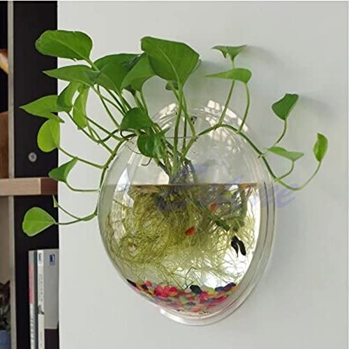 Wandbehangenes Fischglas für Aquarien, Wandmontierter Blumentopf aus Acryl, Dekooration für Aquarien, Pflanzgefäß, Mini-Glas, abgeflachtes Fischglas-Set für die Schreibtischanzeige (blau, L) von FBHappiness