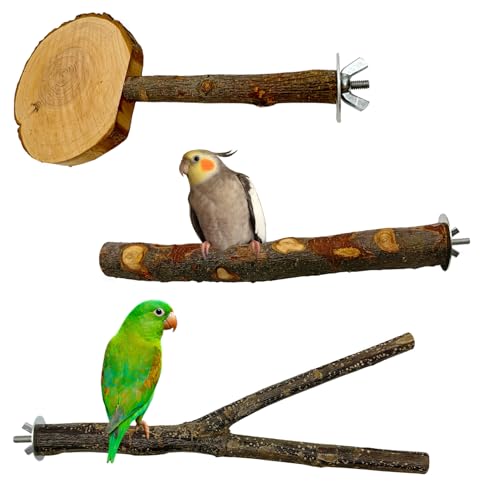 Vogelsitzstange aus Naturholz, für Papageien, Ständer, Gabel, Spielzeug von FBIRDY