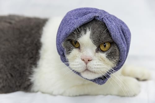 FDANDADE Hämatom-Ohrwickel für Katzen, ohne Klappe, Ohrwickel für Angstlinderung, Geräuschunterdrückung bei Feuerwerk, Gewitter, Lila, Größe S von FDANDADE