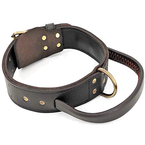 Hundehalsband aus echtem Leder, mit Griff, 4,3 cm Breite, strapazierfähig, für mittelgroße und große Haustiere (Größe M: Halsumfang 30,5 cm – 35,6 cm) von FDC