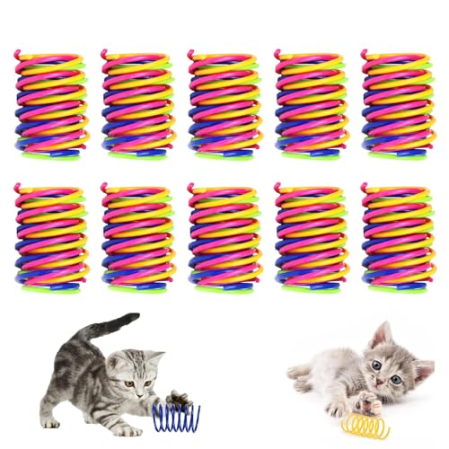 40 Stück Katzenspielzeug Spirale, Bunte Spirale Spielzeug Katze, Interaktives Spirale Katzenspielzeug, Kunststoff Spiralfedern Spielzeug Katze, Katzen Frühlingsspielzeug Haustiere Spielzeug für Katze von FDJZXW