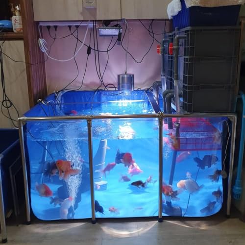 Großes PVC-Leinen-Aquarium, Fisch- und Wasserhaustier-Poolteich, Stahlrahmen, klares Sichtfenster, leicht montierbar, Blau (Größe: 100 x 60 x 35 cm) von FDSGEEE