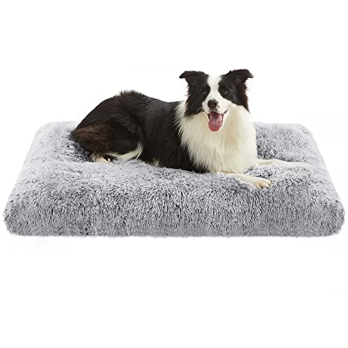 Feandrea Hundebett, Hundekissen, Flauschige Hundematte, langer Plüsch, 110 x 73 cm, weiche Polsterung, waschbar, multifunktional, Ombré-Grau PGW203G01 von Feandrea