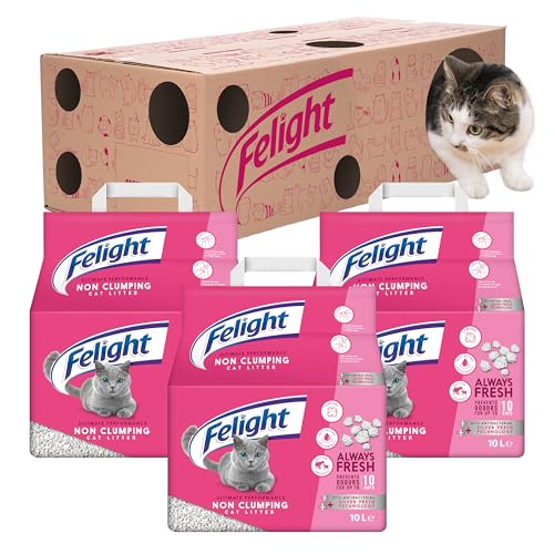 Felight Nicht klumpendes Katzenstreu (30 l Bündel) + Spielbox aus Karton – antibakterielle Silverfresh-Technologie, verhindert Gerüche für bis zu 10 Tage, hergestellt in Großbritannien von FELIGHT