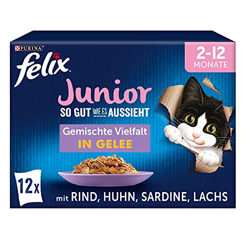 FELIX So gut wie es aussieht Junior Kittenfutter nass in Gelee, Sorten-Mix, 6er Pack (6 x 12 Beutel à 85g) von Felix