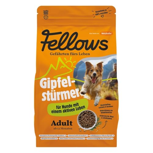 Fellows Gipfelstürmer Trockenfutter für Hunde – Hochwertiges Hundetrockenfutter mit Insektenprotein, unterstützt Gelenke, perfekt für aktive Hunde (2 kg) von FELLOWS