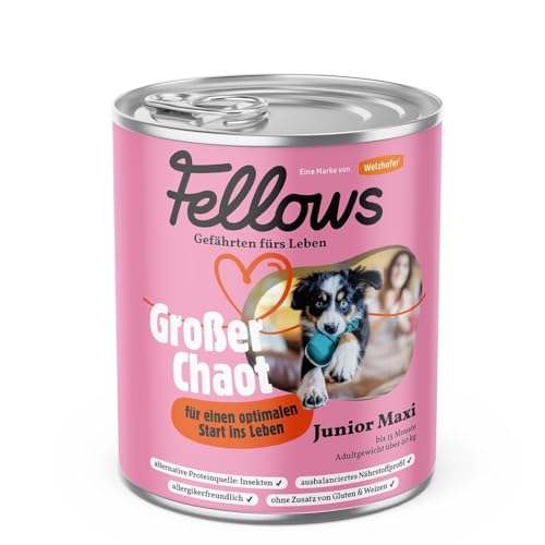 Fellows Großer Chaot Nassfutter für Hunde – Hundenassfutter für Welpen, Monoprotein Insekten, darmfreundliche Rezeptur, ideal für große Rassen (800 g) von FELLOWS