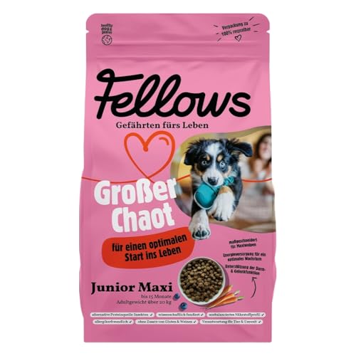 Fellows Großer Chaot Trockenfutter für heranwachsende Hunde – Speziell für Welpen großer Rassen, mit Insektenprotein, Krill und Ei, fördert gesundes Wachstum (2 kg) von FELLOWS