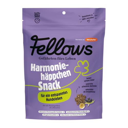 Fellows Harmoniehäppchen Leckerli für Hunde – 125 g – Getreidefreier Snack mit Insektenprotein und Banane – Fördert Entspannung – Gesunde Belohnung für Hunde – 125 g von FELLOWS