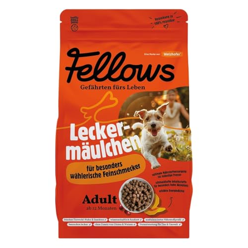 Fellows Leckermäulchen Trockenfutter für Hunde – Schmackhaftes Hundetrockenfutter mit Tierwohl-Huhn und Insektenprotein, getreidefrei, für wählerische Hunde (2 kg) von FELLOWS