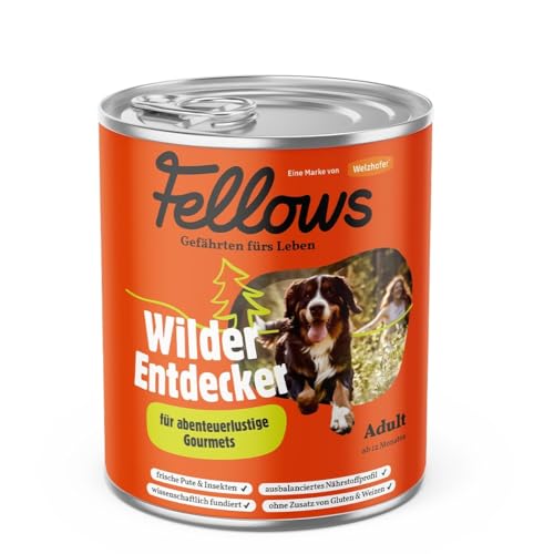 Fellows Wilder Entdecker Nassfutter für Hunde – Hundenassfutter mit frischer Pute und Insektenprotein, getreidefrei, für wählerische Hunde (800 g) von FELLOWS