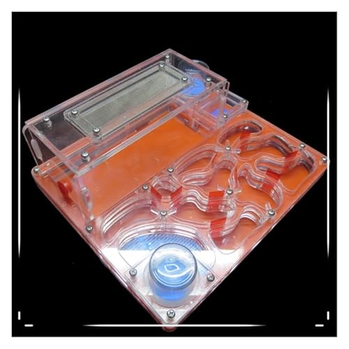 FENGJISUN Ameisenfarm Ameisen Farm Acryl Ameisenburg DIY Twin Wassertürme Ameisennest Farm Öko-Werkstatt Wissenschaft Ameisenfarm Erwachsener(Orange) von FENGJISUN