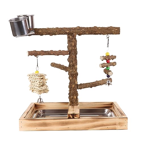 Lovebirds Papageien Käfig Sitzstange Ständer Brücke Schaukel Set Klettern Holz Brücke Training Spielzeug Für Haustier Vogel Groß Papagei Spielständer von FENOHREFE