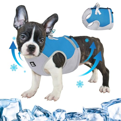 FEimaX Kühlweste für Hunde, Hund Kühlweste Geschirr für Kleine Mittlere Hunde Atmungsaktive Verstellbare Kühljacke Haustier Kühlmantel Reflektierende Sommer HundeKühlweste von FEimaX