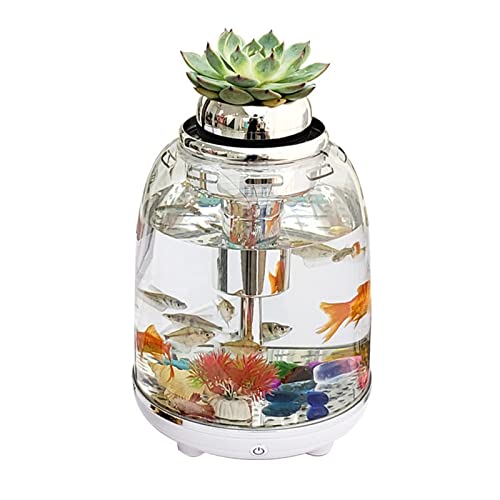 Kleiner Tank Aquarium, tragbare Fischschale Tank, 5,5 L Aquarium Fisch Tank Mit Filter Runde Transparent LED Beleuchtung USB Mini Kunststoff Fisch Tank Kampf Zylinder Tragbare Desktop von FFENFRYOU