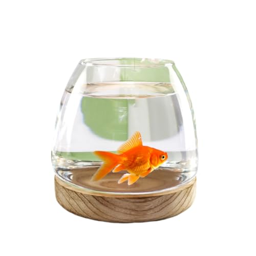 Kleiner Tank Aquarium, tragbare Fischschale Tank, Glasfischbehälter mit Holzsockel, Glas mit hoher Lichtdurchlässigkeit for klare Sicht, kleines Aquarium for Kampffische, Goldfische, Garnelen(15x15cm) von FFENFRYOU