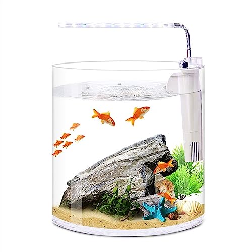 Kleiner Tank Aquarium, tragbare Fischschale Tank, Ökologisches Aquascape Gerades Desktop-Aquarium Kleines süßes transparentes Glas rundes Aquarium for Zuhause, Wohnzimmer, Büro, Filter, LED-Licht, Fis von FFENFRYOU