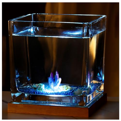 Kleiner Tank Aquarium, tragbare Fischschale Tank, Quadratisches Aquarium aus Glas mit USB-Basis for warmes und kühles Licht, for Bettas, Guppys, Garnelen, Goldfische von FFENFRYOU