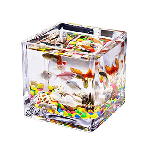 Kleiner Tank Aquarium, tragbare Fischschale Tank, Quadratisches transparentes Glas Mini-Aquarium for den Haushalt im Büro Wassergrastank Betta-Fische Zierfische Kleines Aquarium(3.94IN) von FFENFRYOU