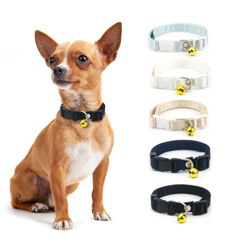 FFWTPY 5PCS Hundehalsband für Katzen Welpen Baumwolle Weich Katzenhalsband mit Glocke Mehrfarbig Verstellbares Halsung Hundeleine von FFWTPY