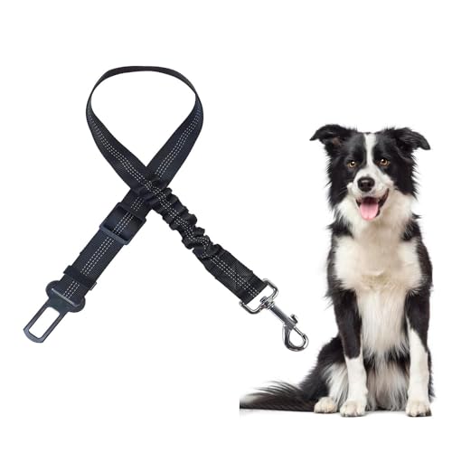 FFWTPY Hunde Sicherheitsgurt für Auto Reflexion Verstellbarer Reflexion Elastischer Ruckdämpfung Hundegurt mit Starke Karabiner und Universalstecker (Schwarz) von FFWTPY