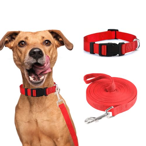 FFWTPY Hundehalsband und Hundeleine für Katzen Welpen Weich Katzenhalsband Verstellbares Hundeleine für Training und Outdoor 10m (Rot) von FFWTPY