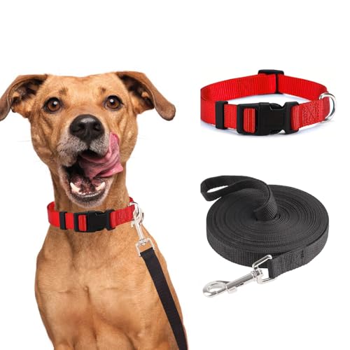 FFWTPY Hundehalsband und Hundeleine für Katzen Welpen Weich Katzenhalsband Verstellbares Hundeleine für Training und Outdoor 10m (Schwarz) von FFWTPY